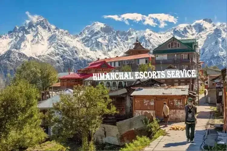 Himachal Escorts Service