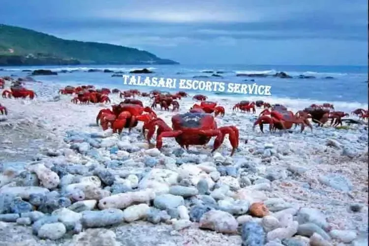 Talasari Escorts Service
